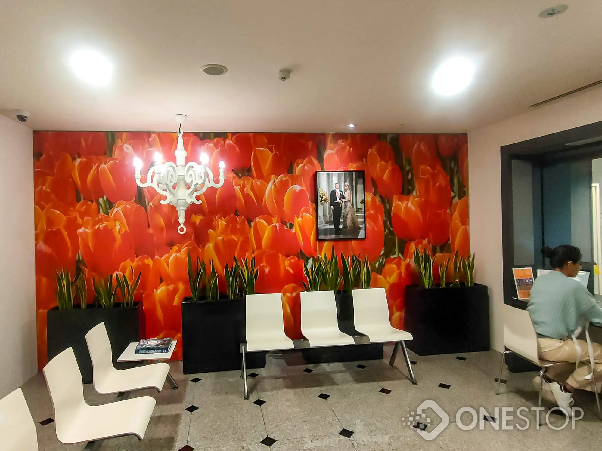 Mobile & Flexible Display — Sentosa